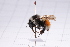  ( - 20QHBb-252)  @11 [ ] CreativeCommons  Attribution Non-Commercial Share-Alike (2030) Unspecified China Agricultural University