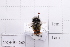  ( - 20QHBb-262)  @11 [ ] CreativeCommons  Attribution Non-Commercial Share-Alike (2030) Unspecified China Agricultural University