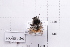  ( - 20QHBb-263)  @11 [ ] CreativeCommons  Attribution Non-Commercial Share-Alike (2030) Unspecified China Agricultural University