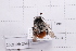  ( - 20QHBb-264)  @11 [ ] CreativeCommons  Attribution Non-Commercial Share-Alike (2030) Unspecified China Agricultural University