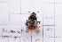  ( - 20QHBb-265)  @11 [ ] CreativeCommons  Attribution Non-Commercial Share-Alike (2030) Unspecified China Agricultural University