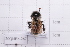  ( - 20QHBb-267)  @11 [ ] CreativeCommons  Attribution Non-Commercial Share-Alike (2030) Unspecified China Agricultural University