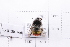  ( - 20QHBb-366)  @11 [ ] CreativeCommons  Attribution Non-Commercial Share-Alike (2030) Unspecified China Agricultural University
