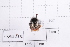  ( - 20QHBb-378)  @11 [ ] CreativeCommons  Attribution Non-Commercial Share-Alike (2030) Unspecified China Agricultural University