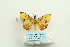 ( - ARB00026236)  @13 [ ] Copyright  SCDBC-KIZ-CAS, Imaging group Kunming Institute of Zoology, CAS