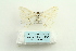  ( - ARB00026468)  @12 [ ] Copyright  SCDBC-KIZ-CAS, Imaging group Kunming Institute of Zoology, CAS