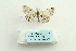  ( - ARB00026708)  @12 [ ] Copyright  SCDBC-KIZ-CAS, Imaging group Kunming Institute of Zoology, CAS