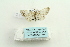  ( - ARB00026710)  @12 [ ] Copyright  SCDBC-KIZ-CAS, Imaging group Kunming Institute of Zoology, CAS