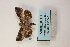  ( - ARB00009117)  @12 [ ] Copyright  SCDBC-KIZ-CAS, Imaging group Kunming Institute of Zoology, CAS