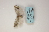  ( - ARB00009157)  @12 [ ] Copyright (2012) SCDBC-KIZ-CAS, Imaging group Kunming Institute of Zoology, CAS