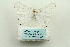  ( - ARB00027801)  @12 [ ] Copyright  SCDBC-KIZ-CAS, Imaging group Kunming Institute of Zoology, CAS