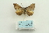  ( - ARB00028484)  @13 [ ] Copyright  SCDBC-KIZ-CAS, Imaging group Kunming Institute of Zoology, CAS