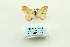  ( - ARB00028702)  @12 [ ] Copyright  SCDBC-KIZ-CAS, Imaging group Kunming Institute of Zoology, CAS