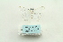  ( - ARB00028853)  @12 [ ] Copyright  SCDBC-KIZ-CAS, Imaging group Kunming Institute of Zoology, CAS