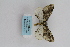  ( - ARB00009186)  @11 [ ] Copyright  SCDBC-KIZ-CAS, Imaging group Kunming Institute of Zoology, CAS