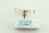  ( - ARB00023560)  @13 [ ] Copyright  SCDBC-KIZ-CAS, Imaging group Kunming Institute of Zoology, CAS