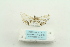  ( - ARB00023575)  @12 [ ] Copyright  SCDBC-KIZ-CAS, Imaging group Kunming Institute of Zoology, CAS