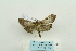  ( - ARB00023606)  @12 [ ] Copyright  SCDBC-KIZ-CAS, Imaging group Kunming Institute of Zoology, CAS