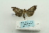  ( - ARB00023628)  @12 [ ] Copyright  SCDBC-KIZ-CAS, Imaging group Kunming Institute of Zoology, CAS