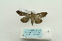  ( - ARB00023630)  @12 [ ] Copyright  SCDBC-KIZ-CAS, Imaging group Kunming Institute of Zoology, CAS