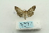  ( - ARB00023649)  @12 [ ] Copyright  SCDBC-KIZ-CAS, Imaging group Kunming Institute of Zoology, CAS