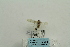  ( - ARB00023959)  @12 [ ] Copyright  SCDBC-KIZ-CAS, Imaging group Kunming Institute of Zoology, CAS