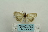  ( - ARB00024331)  @13 [ ] Copyright  SCDBC-KIZ-CAS, Imaging group Kunming Institute of Zoology, CAS