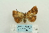  ( - ARB00024382)  @12 [ ] Copyright  SCDBC-KIZ-CAS, Imaging group Kunming Institute of Zoology, CAS