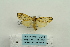  ( - ARB00024561)  @13 [ ] Copyright  SCDBC-KIZ-CAS, Imaging group Kunming Institute of Zoology, CAS