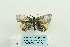  ( - ARB00024645)  @12 [ ] Copyright  SCDBC-KIZ-CAS, Imaging group Kunming Institute of Zoology, CAS