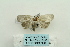 ( - ARB00024825)  @12 [ ] Copyright  SCDBC-KIZ-CAS, Imaging group Kunming Institute of Zoology, CAS