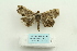  ( - ARB00025044)  @13 [ ] Copyright  SCDBC-KIZ-CAS, Imaging group Kunming Institute of Zoology, CAS