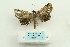  ( - ARB00025045)  @13 [ ] Copyright  SCDBC-KIZ-CAS, Imaging group Kunming Institute of Zoology, CAS