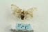  ( - ARB00025208)  @13 [ ] Copyright  SCDBC-KIZ-CAS, Imaging group Kunming Institute of Zoology, CAS