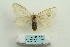  ( - ARB00025225)  @13 [ ] Copyright  SCDBC-KIZ-CAS, Imaging group Kunming Institute of Zoology, CAS