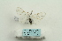  ( - ARB00025245)  @12 [ ] Copyright  SCDBC-KIZ-CAS, Imaging group Kunming Institute of Zoology, CAS