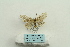  ( - ARB00025253)  @12 [ ] Copyright  SCDBC-KIZ-CAS, Imaging group Kunming Institute of Zoology, CAS