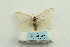  ( - ARB00025264)  @13 [ ] Copyright  SCDBC-KIZ-CAS, Imaging group Kunming Institute of Zoology, CAS
