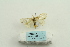  ( - ARB00025277)  @13 [ ] Copyright  SCDBC-KIZ-CAS, Imaging group Kunming Institute of Zoology, CAS