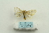  ( - ARB00025280)  @13 [ ] Copyright  SCDBC-KIZ-CAS, Imaging group Kunming Institute of Zoology, CAS