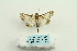  ( - ARB00025369)  @11 [ ] Copyright  SCDBC-KIZ-CAS, Imaging group Kunming Institute of Zoology, CAS