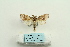  ( - ARB00025392)  @12 [ ] Copyright  SCDBC-KIZ-CAS, Imaging group Kunming Institute of Zoology, CAS