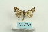  ( - ARB00025397)  @13 [ ] Copyright  SCDBC-KIZ-CAS, Imaging group Kunming Institute of Zoology, CAS