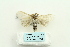  ( - ARB00025710)  @12 [ ] Copyright  SCDBC-KIZ-CAS, Imaging group Kunming Institute of Zoology, CAS