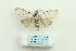  ( - ARB00025754)  @13 [ ] Copyright  SCDBC-KIZ-CAS, Imaging group Kunming Institute of Zoology, CAS
