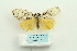  ( - ARB00025755)  @13 [ ] Copyright  SCDBC-KIZ-CAS, Imaging group Kunming Institute of Zoology, CAS
