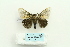  ( - ARB00025780)  @13 [ ] Copyright  SCDBC-KIZ-CAS, Imaging group Kunming Institute of Zoology, CAS