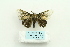  ( - ARB00025781)  @13 [ ] Copyright  SCDBC-KIZ-CAS, Imaging group Kunming Institute of Zoology, CAS