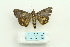  ( - ARB00025790)  @12 [ ] Copyright  SCDBC-KIZ-CAS, Imaging group Kunming Institute of Zoology, CAS