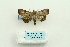  ( - ARB00025791)  @12 [ ] Copyright  SCDBC-KIZ-CAS, Imaging group Kunming Institute of Zoology, CAS